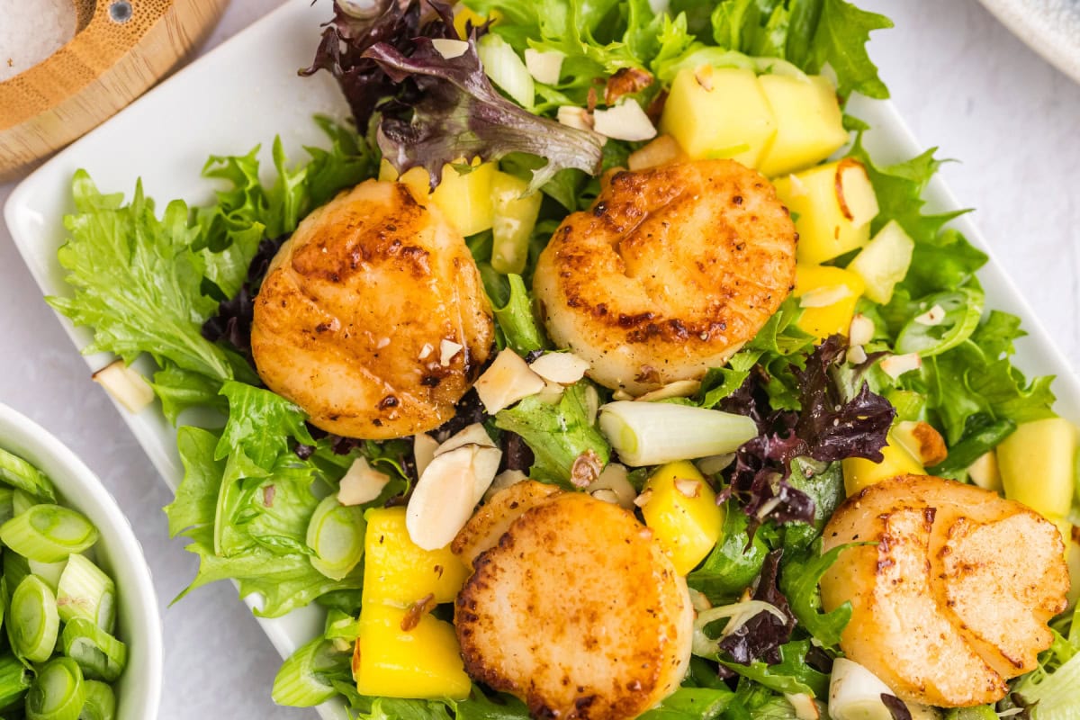 Scallop salad with mango, greens and a citrus vinaigrette. Fresh, light and perfect for a quick, flavorful meal! scallop salad on plate