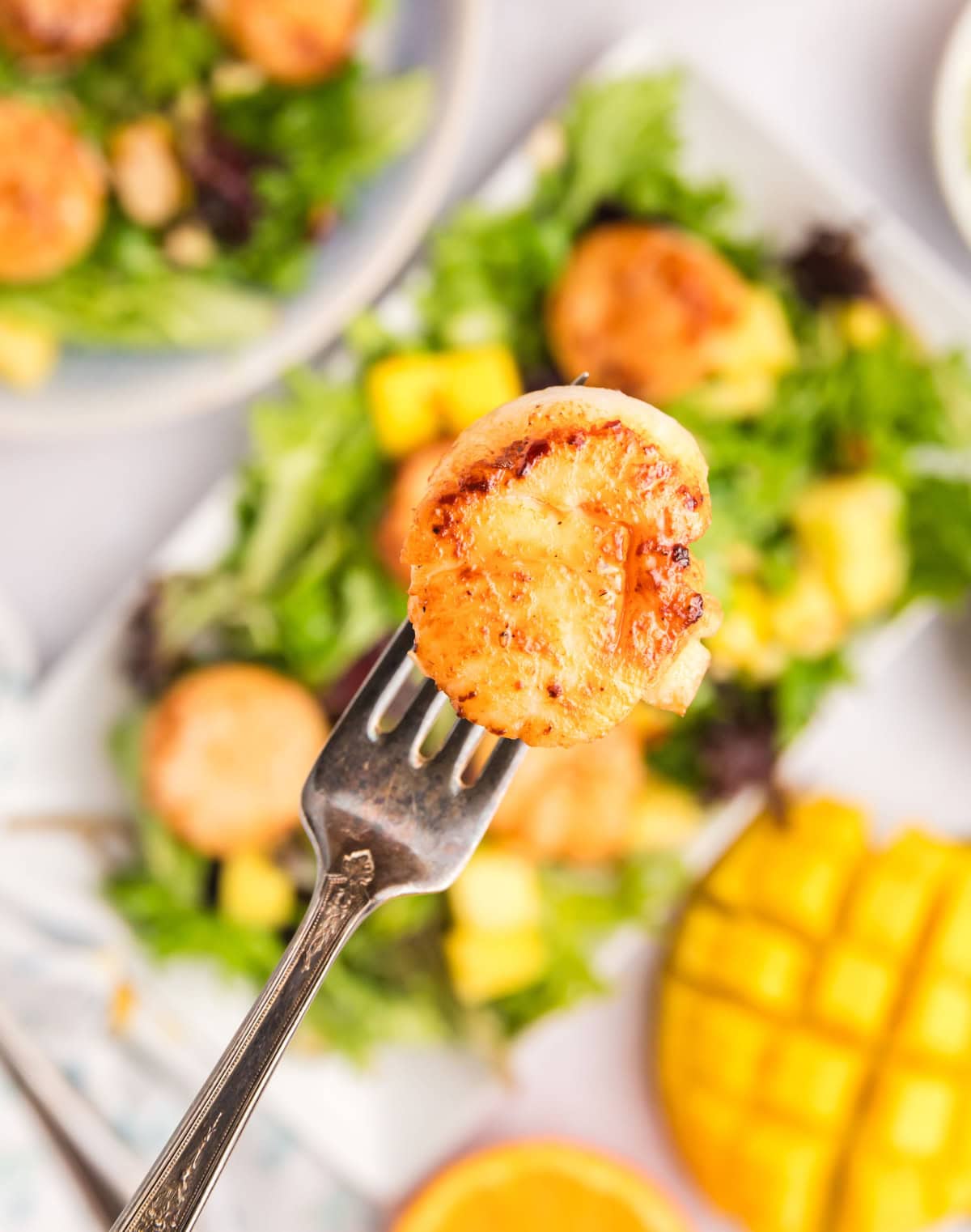 Scallop salad with mango, greens and a citrus vinaigrette. Fresh, light and perfect for a quick, flavorful meal! fork holding scallop
