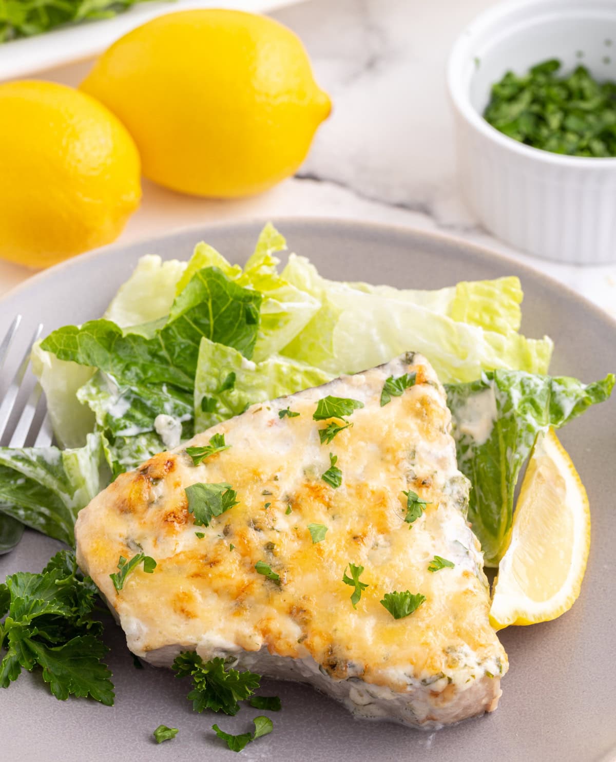 Swordfish parmesan with a golden, savory topping. An easy, fresh seafood dinner ready in under 30 minutes! serving of swordfish parmesan on a plate with salad