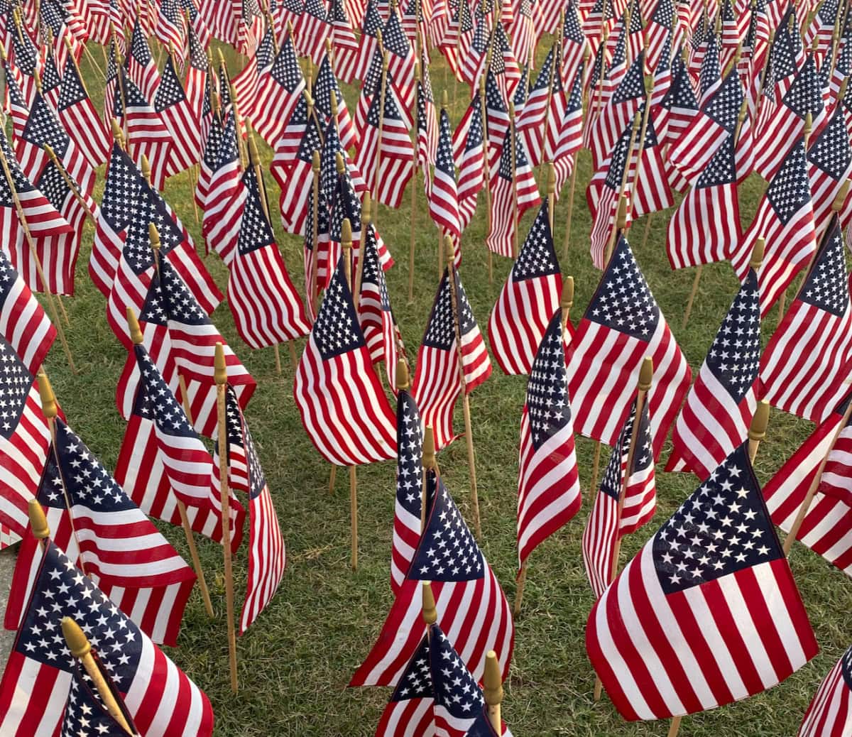 Red, white and blue recipes for patriotic parties, 4th of July, Memorial Day and summer BBQs. Festive, easy and delicious ideas! lots of little flags stuck in the grass
