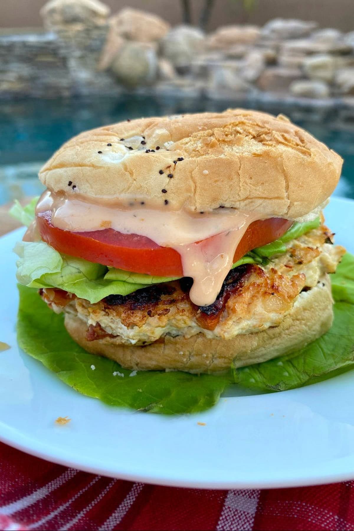 chicken and sun dried tomato burger