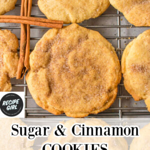 sugar and cinnamon cookies pinterest pin