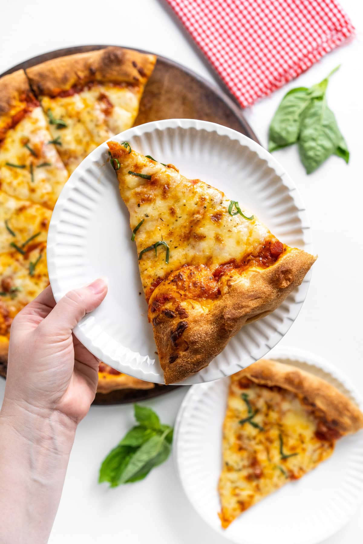 hand holding plate with slice of cheese pizza on top