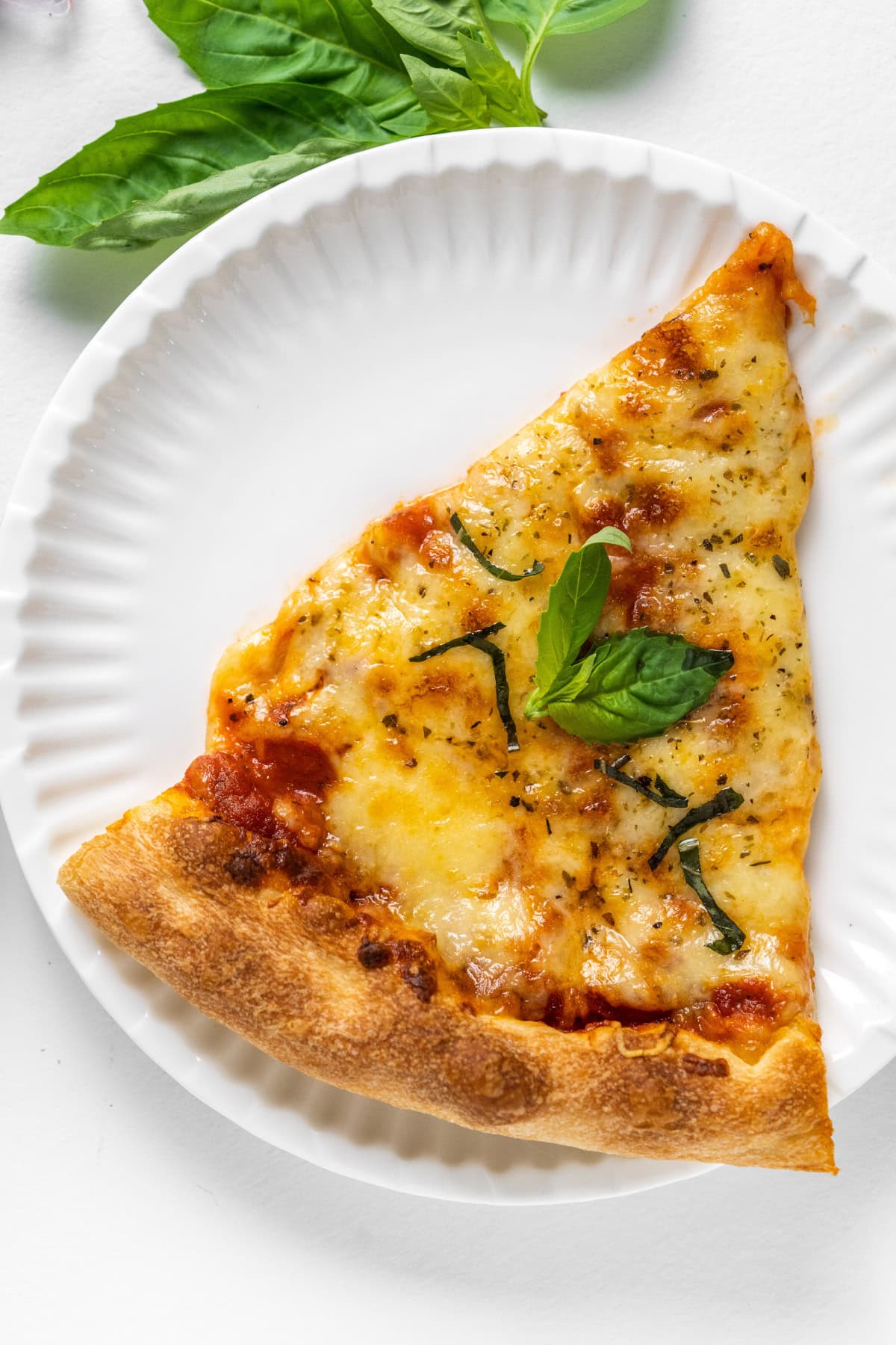 slice of cheese pizza
