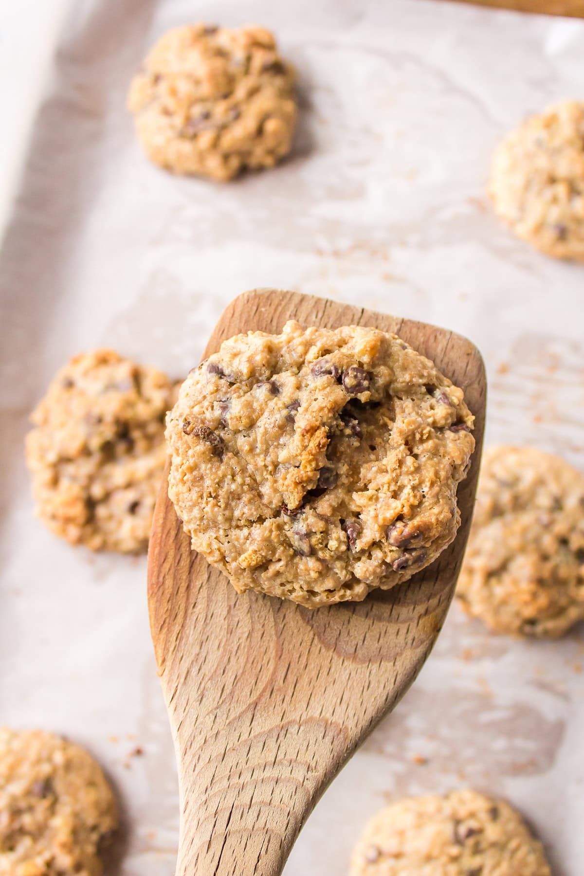 spatula holding graham cracker chocolate chip cookie