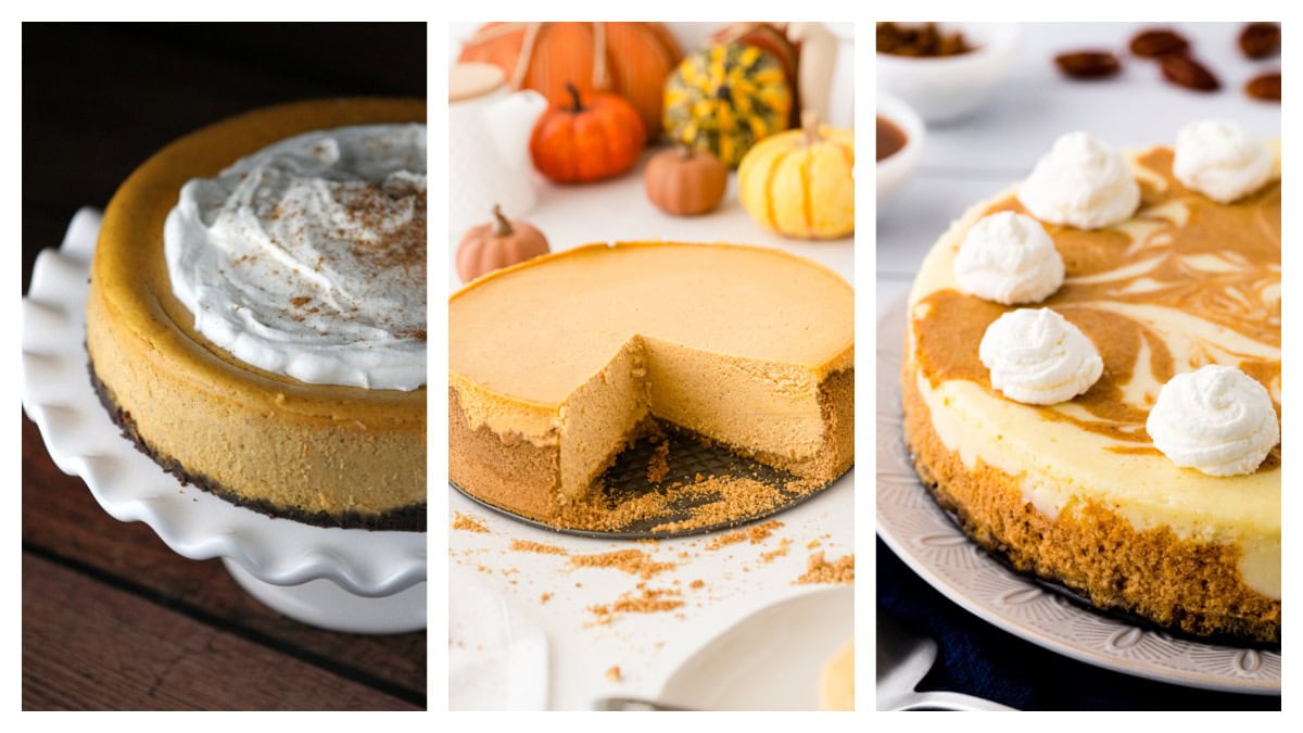 pumpkin cheesecake collage