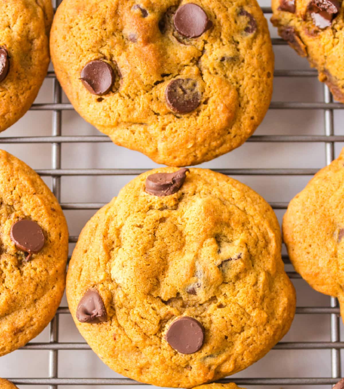 pumpkin chocolate chip cookies